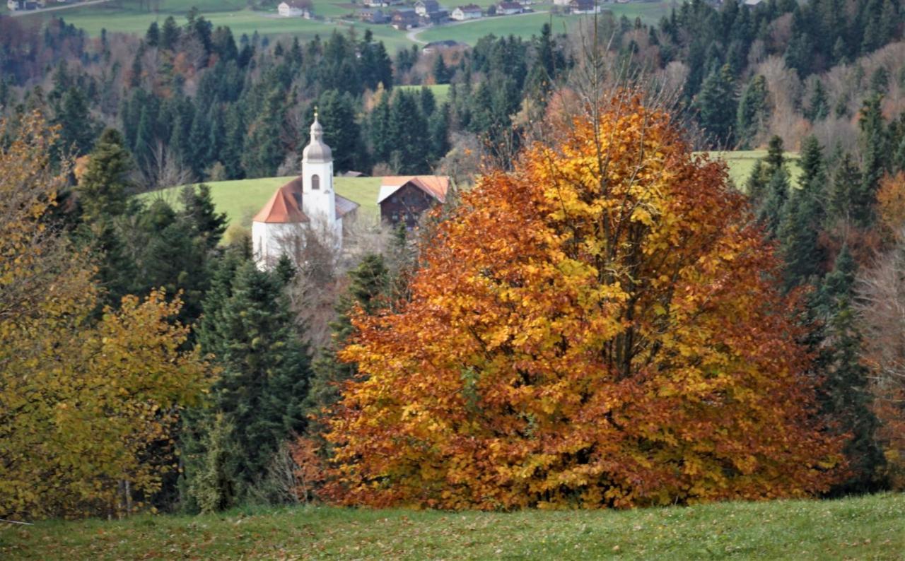 Ferien In Feld 109 Langenegg Exterior foto