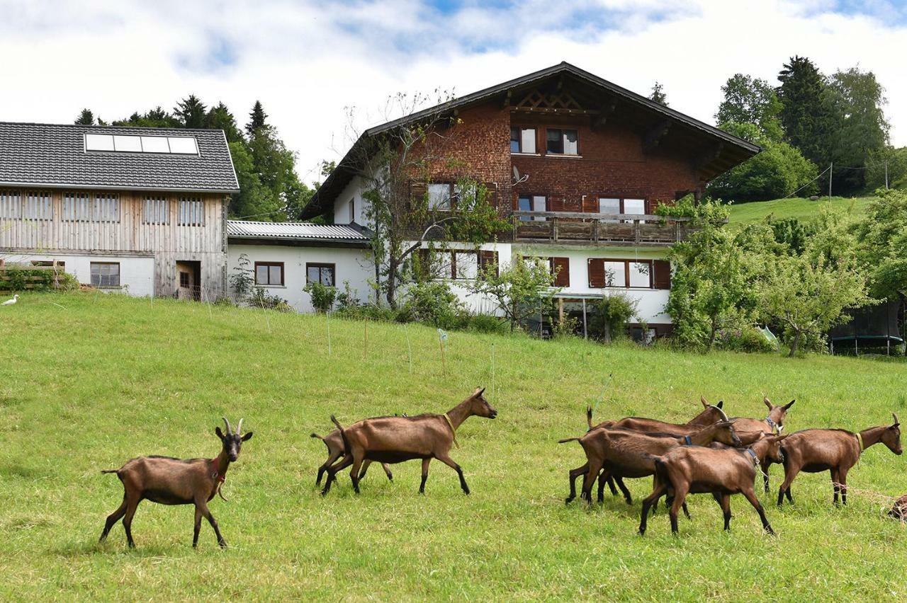 Ferien In Feld 109 Langenegg Exterior foto